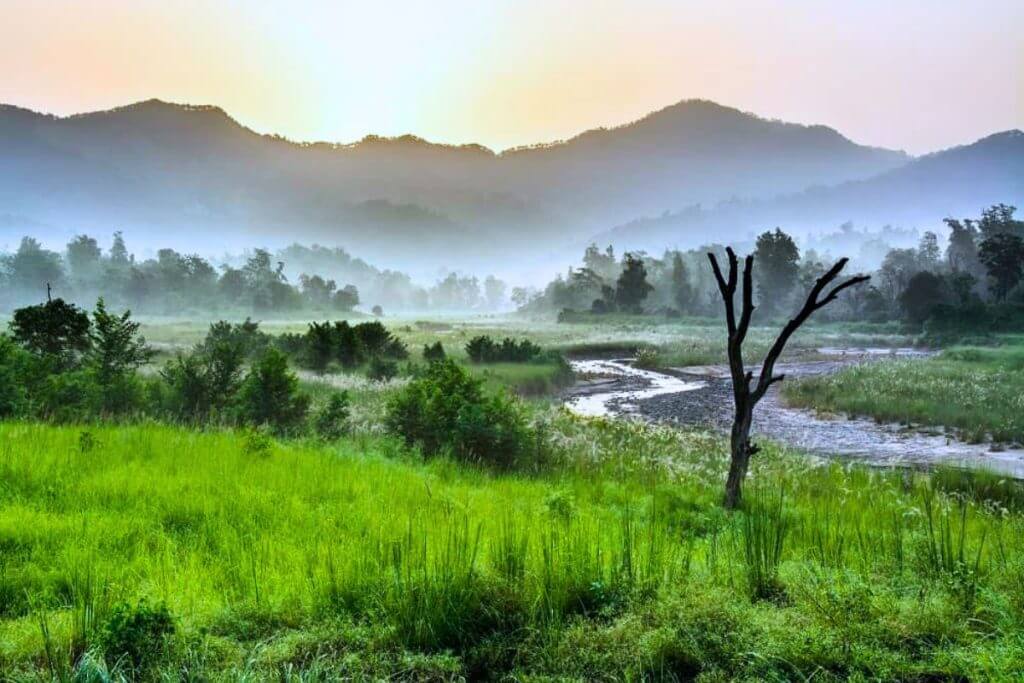Scenic lush green landscape of the Shivalik hills