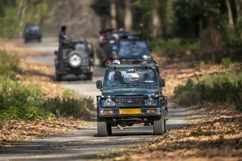 Tourists experiencing an exciting open jeep safari ride