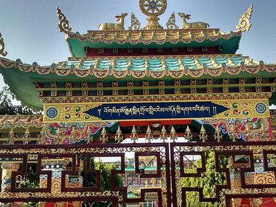 Wildlife and natural scenery at Chillawali Mohand Gate